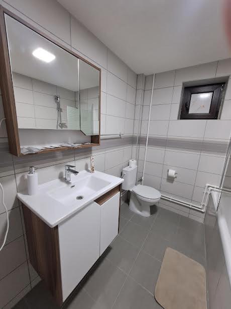 Ivan'S Guesthouse Paraćin Buitenkant foto